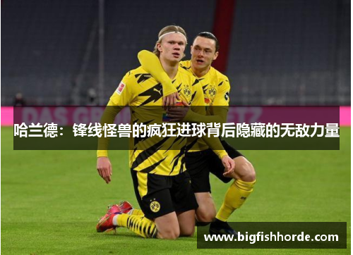 哈兰德：锋线怪兽的疯狂进球背后隐藏的无敌力量