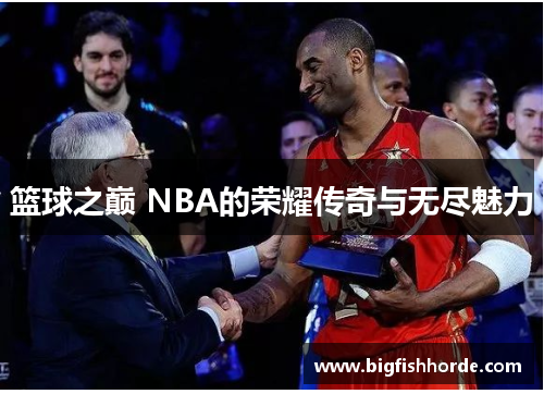 篮球之巅 NBA的荣耀传奇与无尽魅力