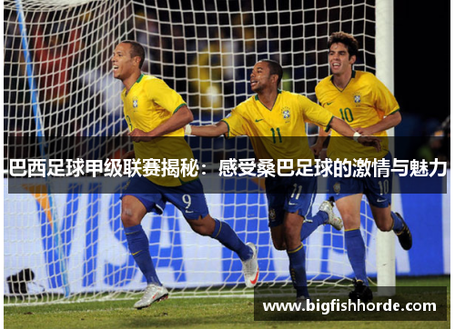 巴西足球甲级联赛揭秘：感受桑巴足球的激情与魅力