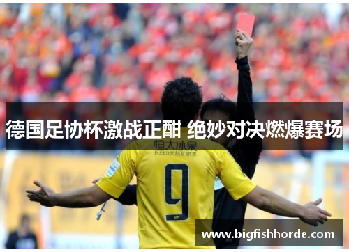 德国足协杯激战正酣 绝妙对决燃爆赛场