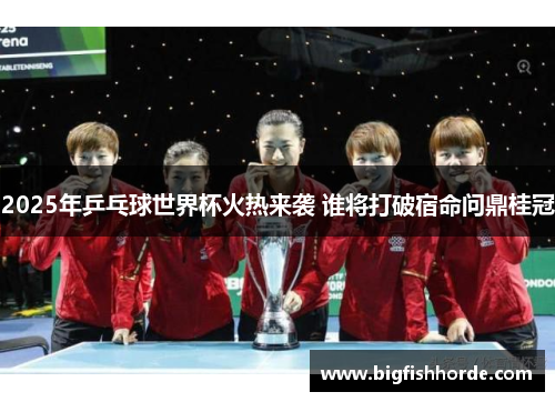 2025年乒乓球世界杯火热来袭 谁将打破宿命问鼎桂冠