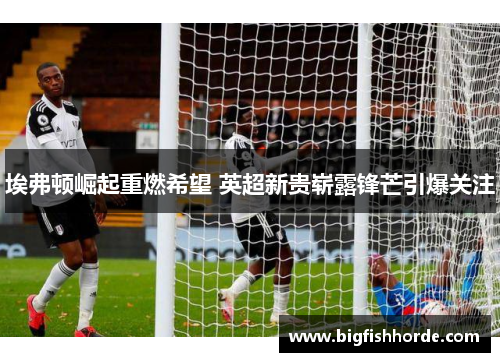 埃弗顿崛起重燃希望 英超新贵崭露锋芒引爆关注